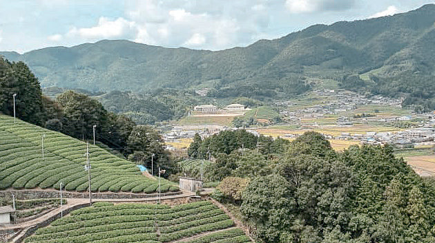 The Night Sky of Wazuka Mesmerises