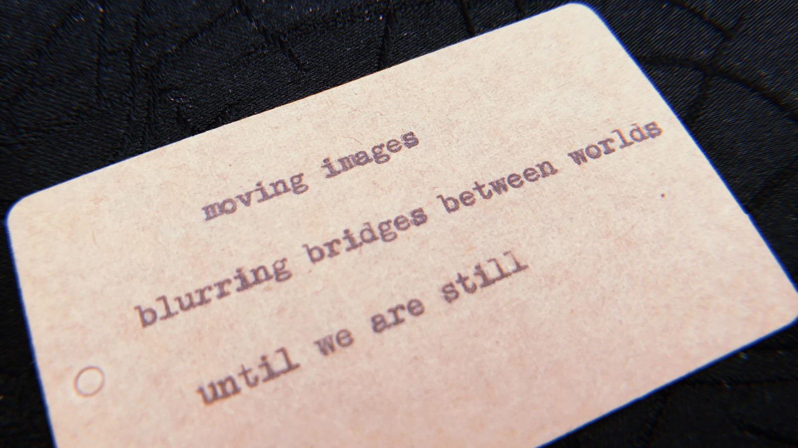 In Writing about Life