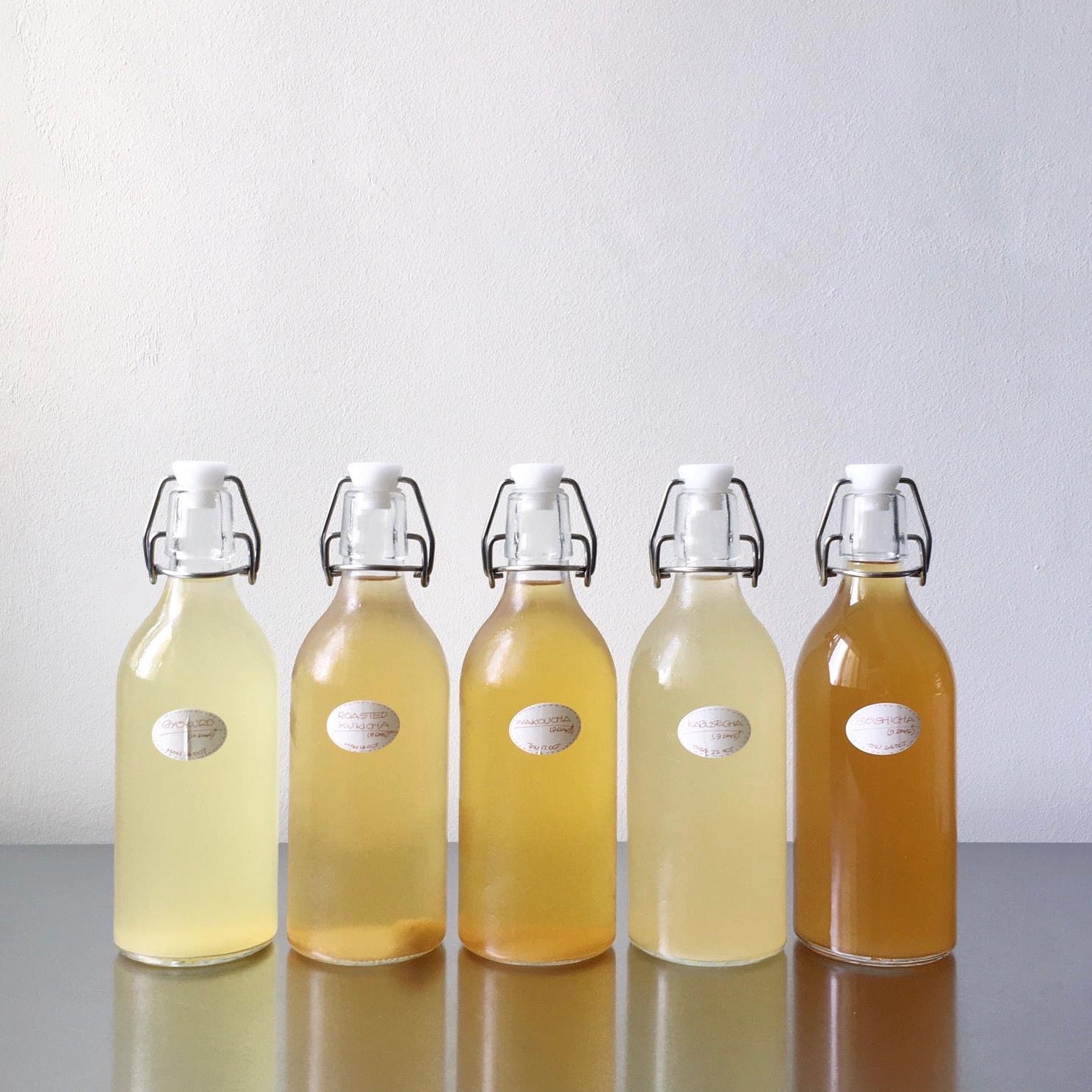Kombucha Adventures