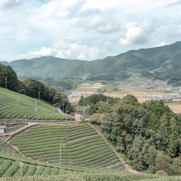 The Night Sky of Wazuka Mesmerises