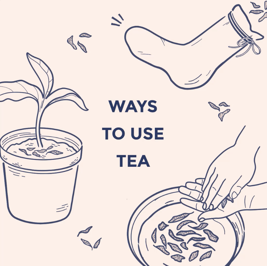 Ways to Reuse Tea Leaves – Hvala Singapore