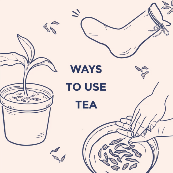 Ways to Reuse Tea Leaves