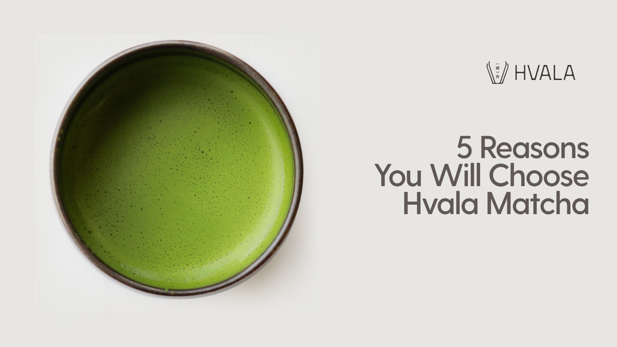 5 reasons you will choose Hvala matcha